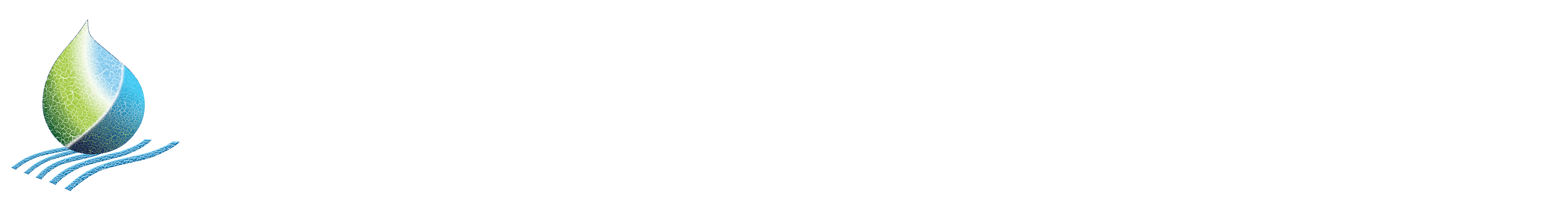 NS Logo