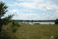 DSC00651