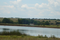 DSC00653