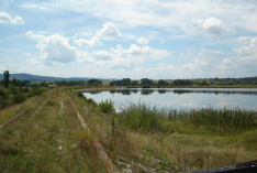 DSC00654