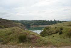 DSC00527