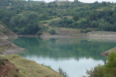 DSC00528