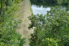 DSC00530