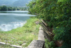 DSC00533