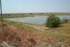 DSC00661