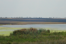 DSC00673