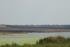 DSC00674
