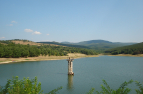 Долно Ново Село