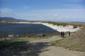 Златовръх