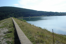 DSC00571