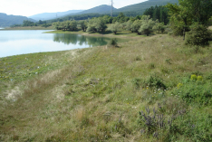 DSC00573