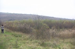 Кулина Вода