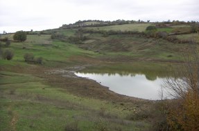 Лале