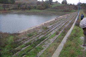 Петелово