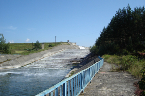 Пчелина