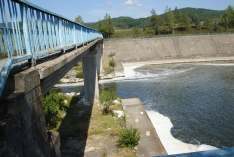 DSC00602