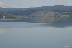 DSC00611
