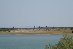 DSC00716