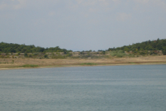 DSC00717
