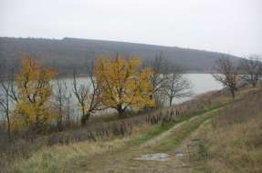 Татари